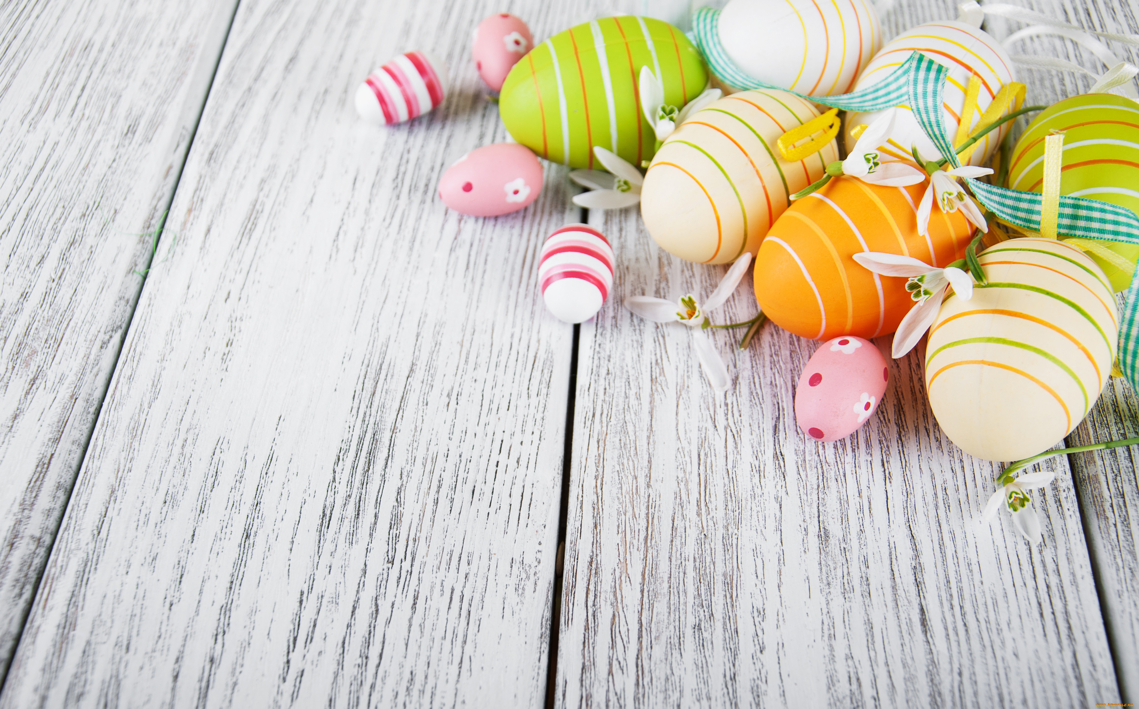 , , , , colorful, , happy, wood, blossom, flowers, spring, easter, eggs, decoration, snowdrops